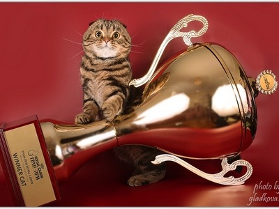 vistovochnie sistemi